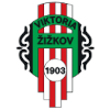 Viktoria Zizkov logo