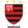 Flamengo SP U23 logo