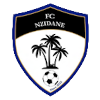 NZidane logo