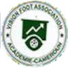 Vision Foot (W) logo