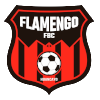 Flamengo FBC (W) logo