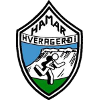 Hamar Hveragerdi logo