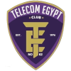 Telecom Ai Cập logo