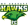 Mount Gravatt Hawks logo